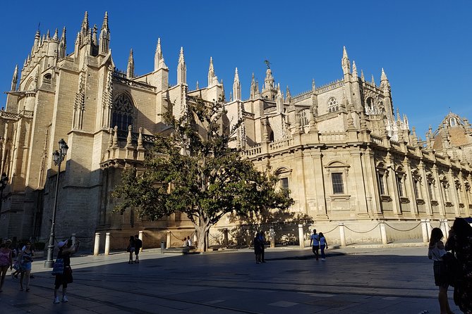Guided Tour Sevilla Cathedral - Key highlights you should care about