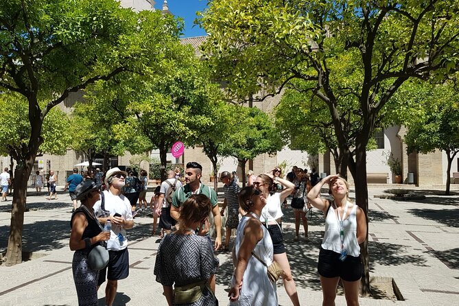 Guided Tour Sevilla Cathedral - Orange Trees courtyard, a calm pause inside a huge complex