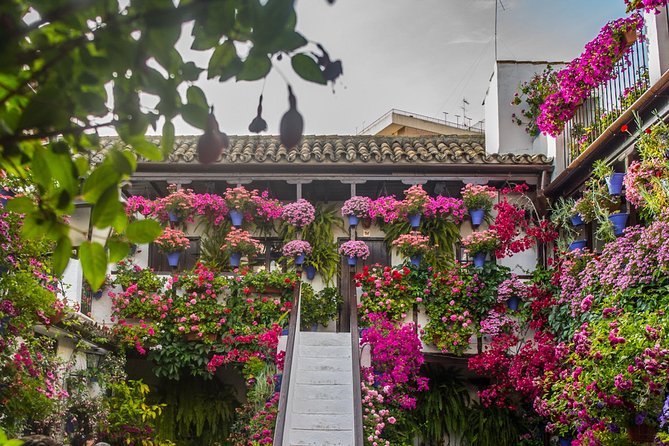 Guided Tour to the Popular Patios of Cordoba - Cordoba’s Patios: Why Courtyards Feel Like the Main Event