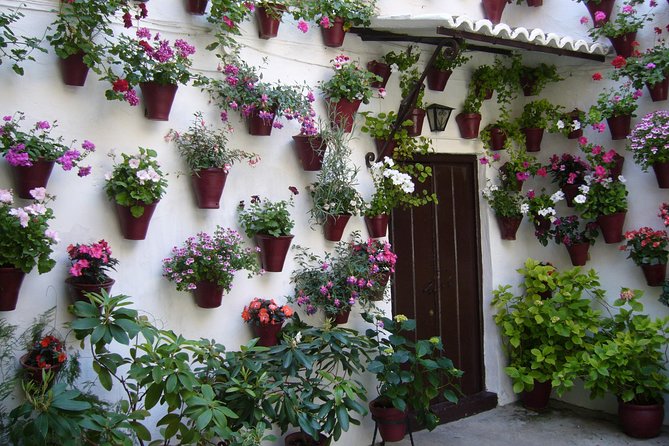 Guided Tour to the Popular Patios of Cordoba - Guides Matter: What the Best Reviews Tell You to Look For