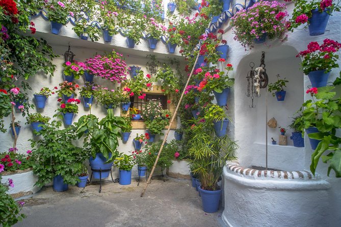 Guided Tour to the Popular Patios of Cordoba - Stop 1: Patios de Córdoba, From Origins to Today