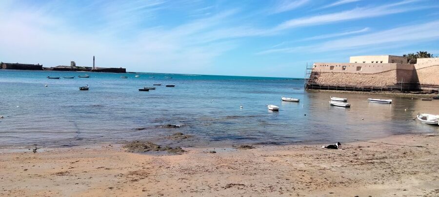 Guided visit on foot through Cádiz: stories from the hand of a local guide - Price and Value: Why $14 Makes Sense for This Kind of Tour