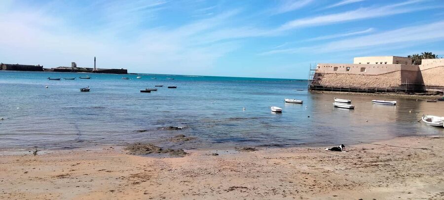 Guided visit on foot through Cádiz: stories from the hand of a local guide - Alejandro, Fanny, and the Value of a Guide Who Lives Here