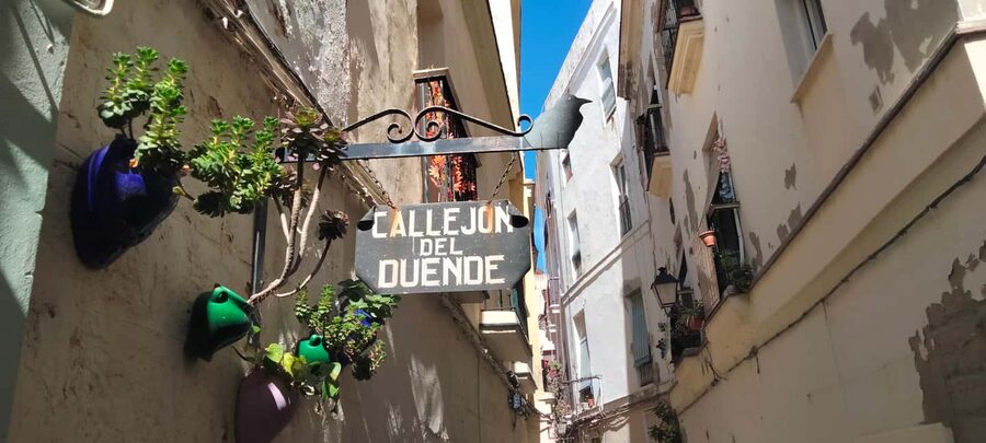 Guided visit on foot through Cádiz: stories from the hand of a local guide - Recommendations You Can Actually Act On That Same Day
