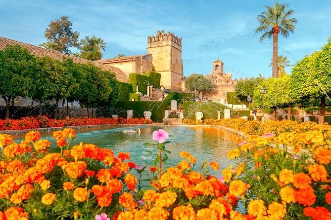 Guided visit to the Mosque-Cathedral, Jewish Quarter, Alcazar and Synagogue. Official guide - Calleja de las Flores and the synagogue visit: context for what you see