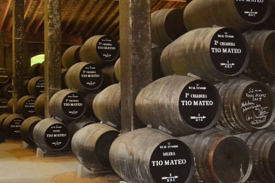 Half-Day Wine Tour in Andalusia in small group - Why This 4-Hour Andalusia Wine Stop Works So Well From Seville