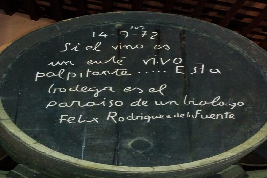 Half-Day Wine Tour in Andalusia in small group - The Countryside Drive, Without the Long Haul