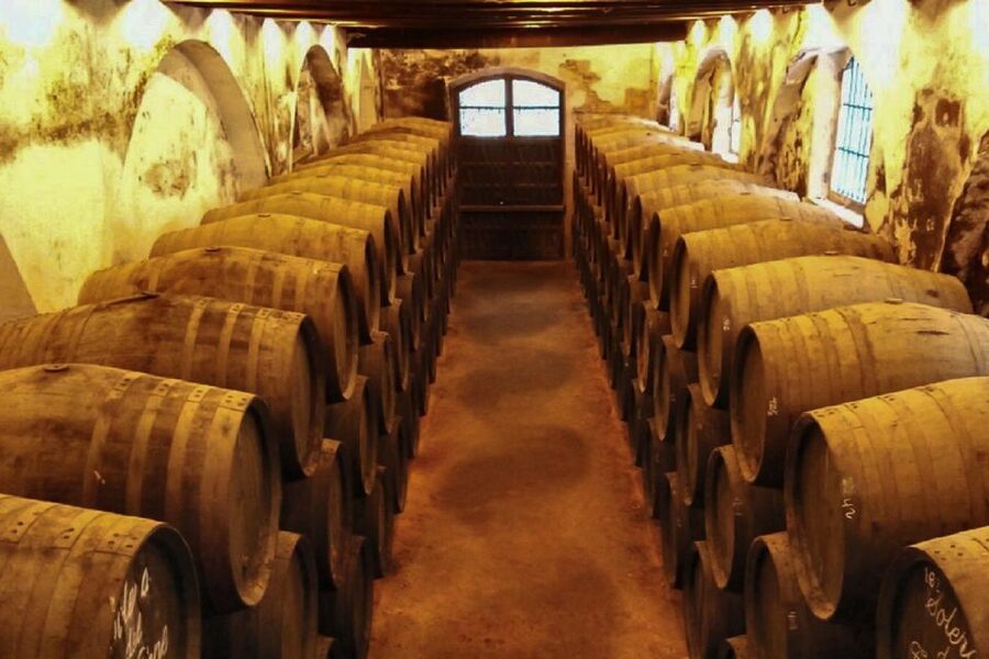 Half-Day Wine Tour in Andalusia in small group - Tasting Reality Check, Expect About 4 to 5 Wines