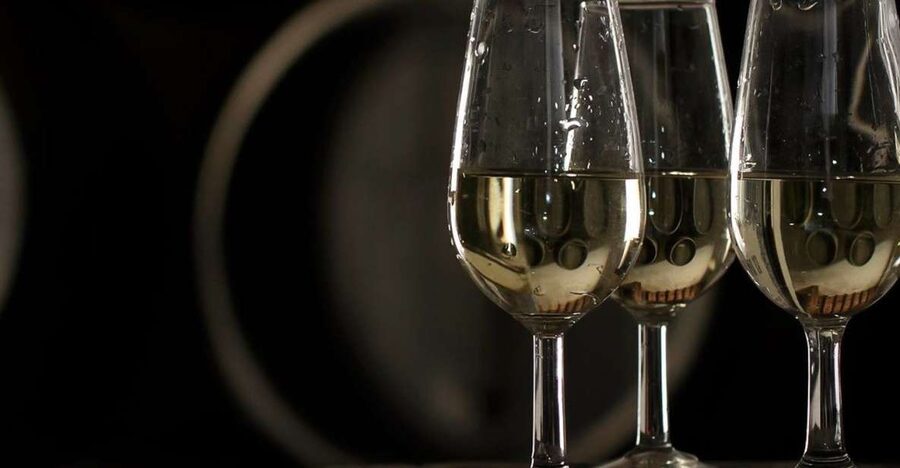 Half-Day Wine Tour in Andalusia in small group - Practical Notes That Make the Day Smoother