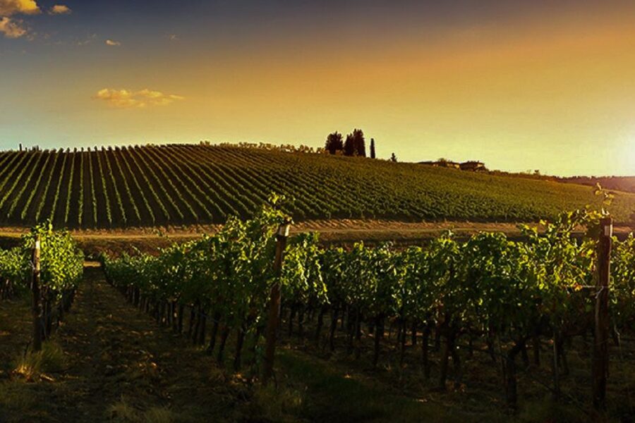 Half-Day Wine Tour in Andalusia in small group - About Your Guides, Luka and Enrique as a Real Example of How It Feels