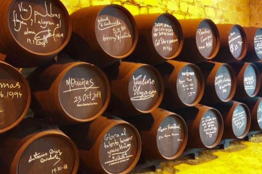 Half-Day Wine Tour in Andalusia in small group - What You Learn, From Viticulture to the Glass