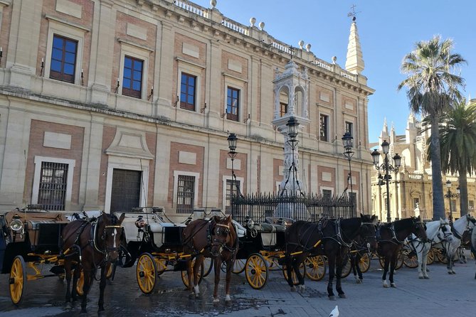 Horse-Drawn Carriage Ride Through Seville - San Telmo Palace and Torre del Oro, the easy start