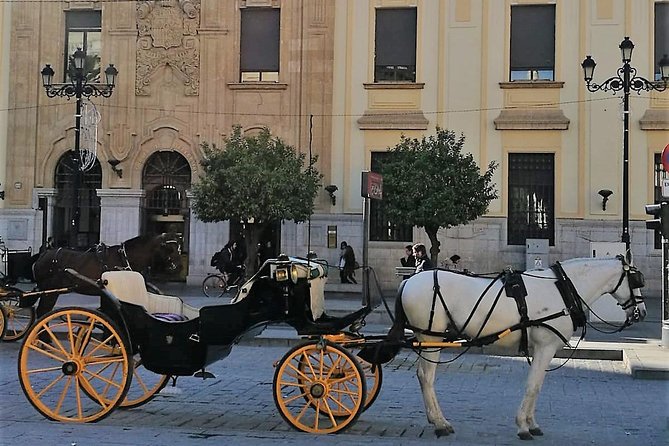 Horse-Drawn Carriage Ride Through Seville - Parque de María Luisa: where the ride slows down for real viewing