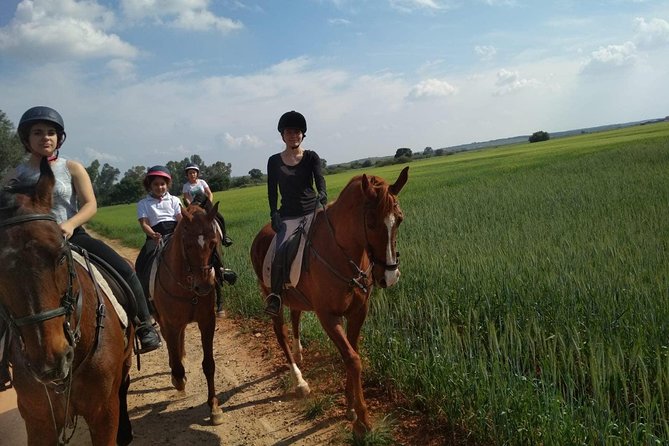 Horseback riding around Doñana National Park - Getting To Centro Ecuestre El Acebuche (And the pickup choice)