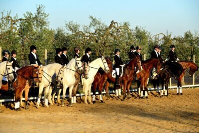 Horseback riding around Doñana National Park
