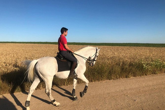Horseback riding around Doñana National Park - Who This Tour Fits Best (Beginners, Fitness, and Comfort)