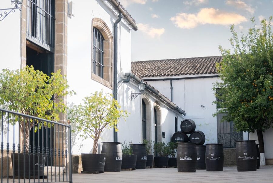 Jerez: Bodegas Álvaro Domecq Guided Tour with Wine Tasting - Why this Álvaro Domecq tour works in just 1.5 hours