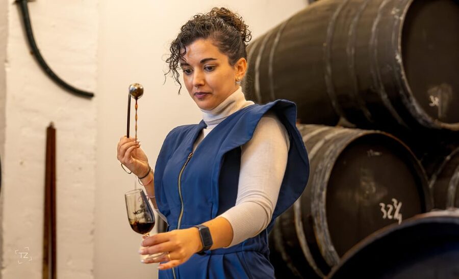Jerez: Bodegas Álvaro Domecq Guided Tour with Wine Tasting - Oloroso cellar and the audiovisual presentation