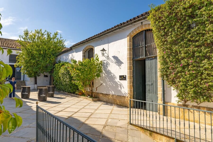 Jerez: Bodegas Álvaro Domecq Guided Tour with Wine Tasting - The Fino wines area: why land and grape choices matter