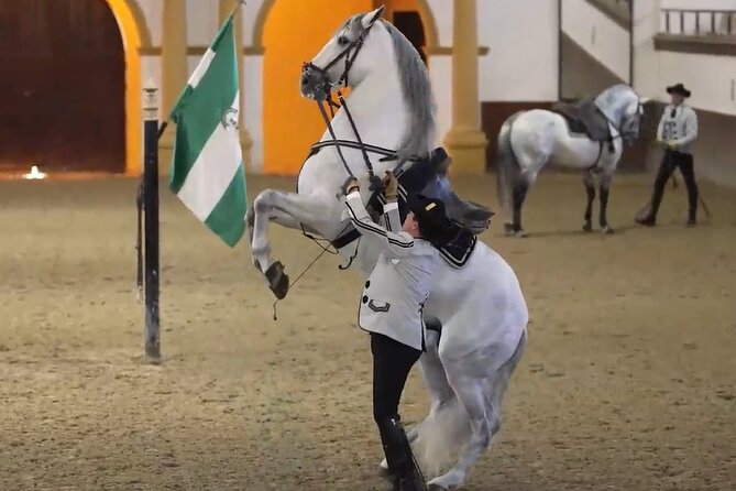 Jerez & Cadiz Winery with Tasting & Opt Horse Show from Seville - Key Highlights You’ll Actually Feel on This Day Trip