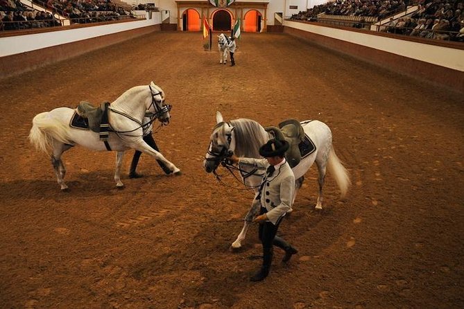 Jerez & Cadiz Winery with Tasting & Opt Horse Show from Seville - Guides and Pace: The Difference Between a Good Day and a Great One