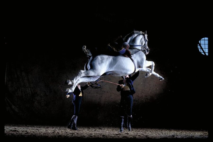 Jerez de la Frontera: Andalusian Horse Dance and Museums - Why Jerez turns equestrian art into a real performance