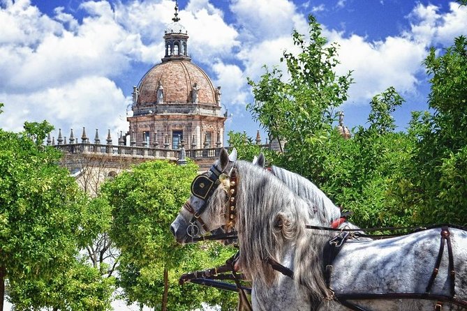 Jerez de la Frontera History and Art Walking Tour - Key highlights that make this tour worth your time