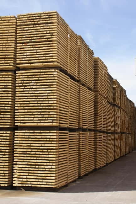 JEREZ DE LA FRONTERA: PREMIUM GUIDED TOUR TO THE COOPERAGE - Key things I’d plan around