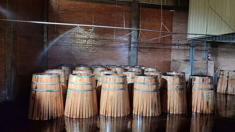 JEREZ DE LA FRONTERA: PREMIUM GUIDED TOUR TO THE COOPERAGE - Why a cooperage tour in Jerez is worth your time