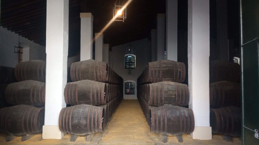 Jerez de la Frontera: Sherry Winery Tour with Tasting - Getting to Pl. Silos, 3 and what the start feels like