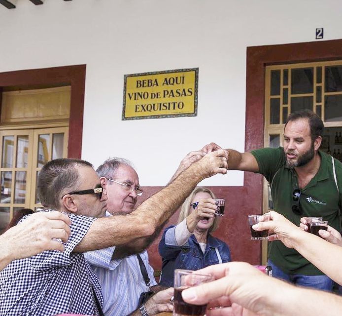 Jerez: Guided Winery Tour with Wine Tasting - The 80-minute pace: how the tour uses your time