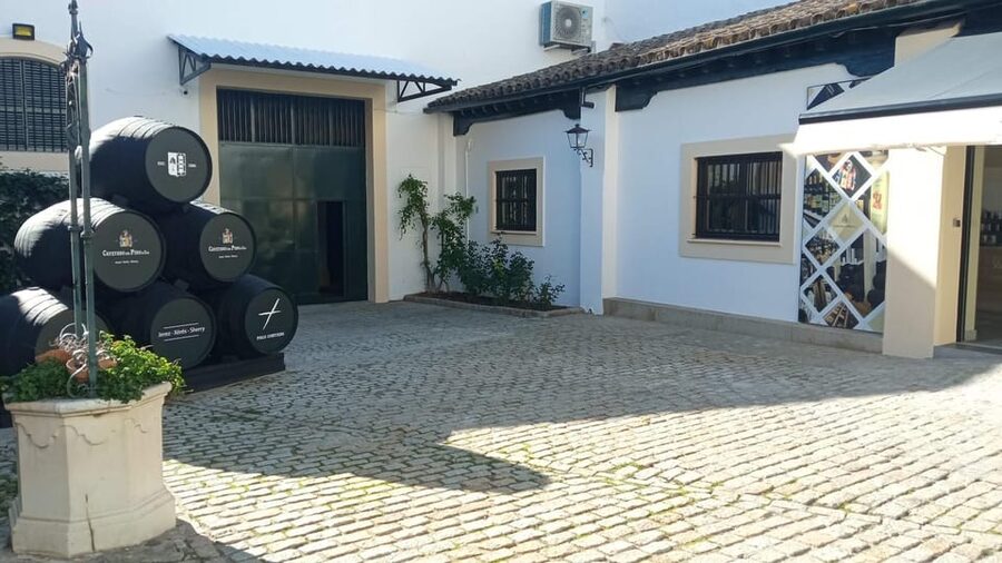 Jerez: Guided Winery Tour with Wine Tasting - Price and value: $22 for a guided tasting that teaches you