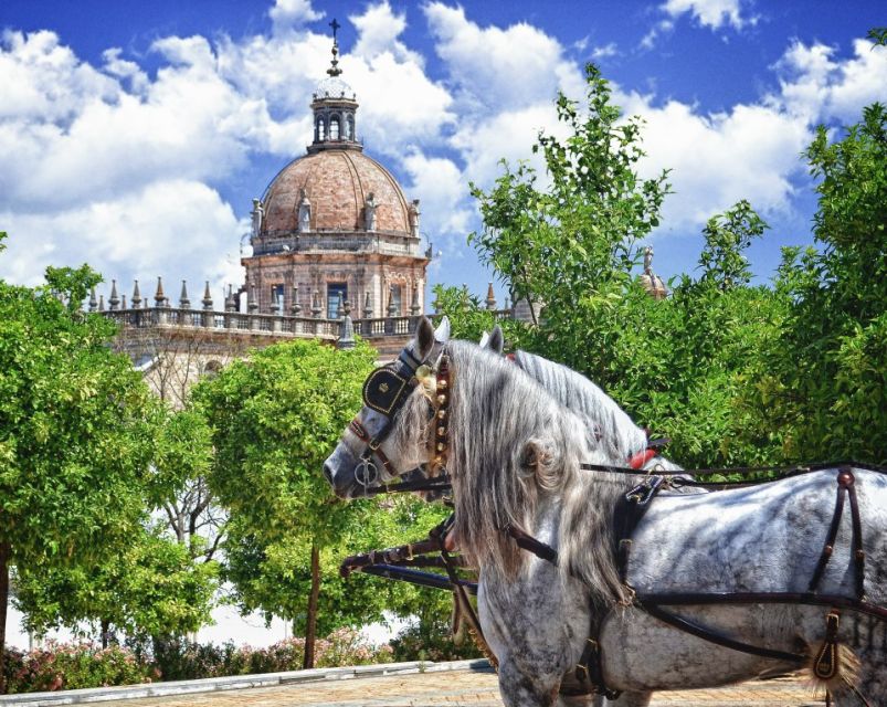 Jerez: Historic Center Guided Tour - Why This Jerez Walk Feels Like a City Timeline