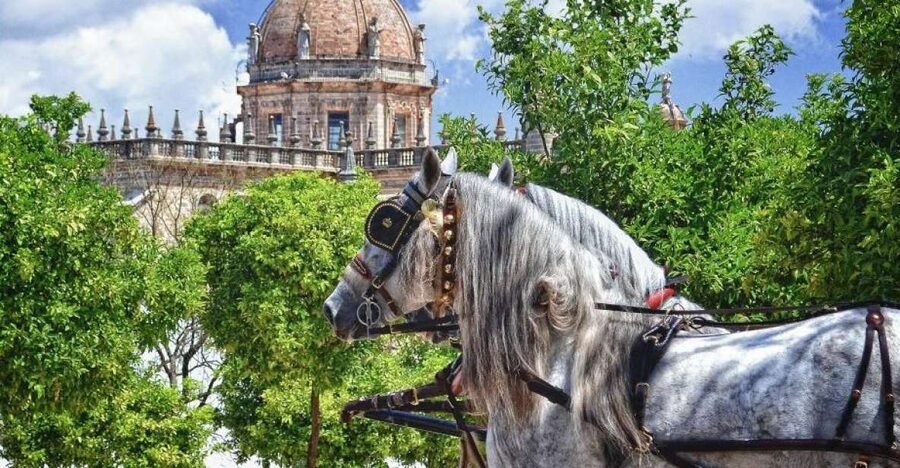 Jerez: Historic Center Guided Tour - Plaza del Arenal to San Miguel: A Quick Start That Actually Helps