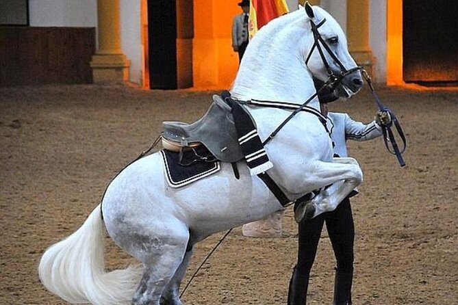 Jerez Historic Guided Tour with Horse Show - Why This Jerez Half-Day Mixes Old Town Walking With a Horse Show