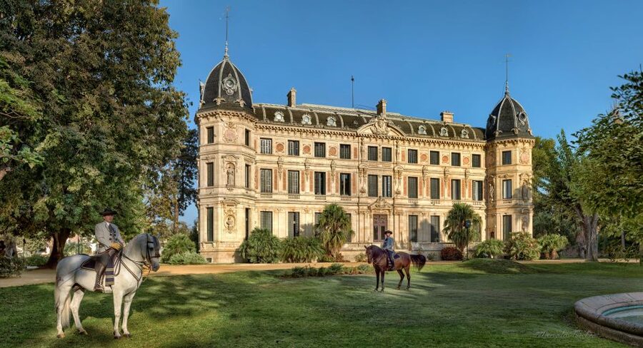 Jerez: Royal Andalusian School of Equestrian Art Admission - Royal Andalusian School in Jerez: Horse Training You Can Actually See