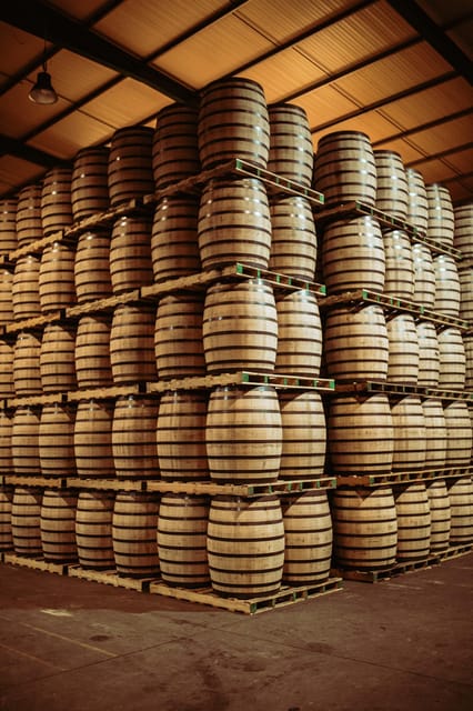 Jerez: Tour Bodegas Páez Morilla ESPAÑOL/DEUTSCH - Inside the Sherry Casks Area: Where Aging Shows Its Muscle