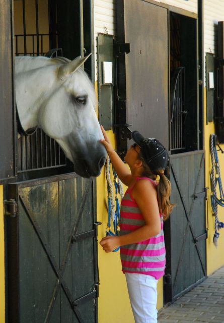 Jerez: Yeguada de la Cartuja Carthusian Horses Tour - FAQ