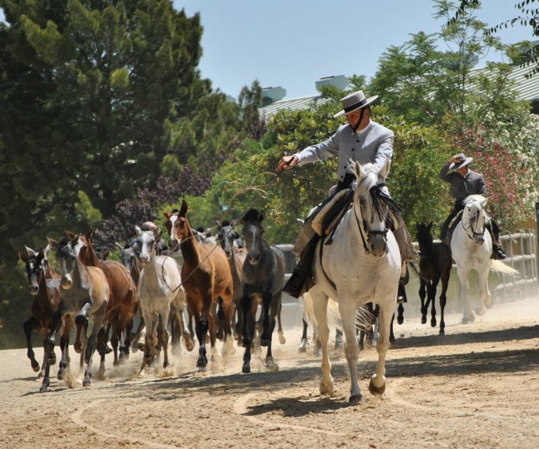 Jerez: Yeguada de la Cartuja Carthusian Horses Tour - Dressage in the main arena, what to watch for