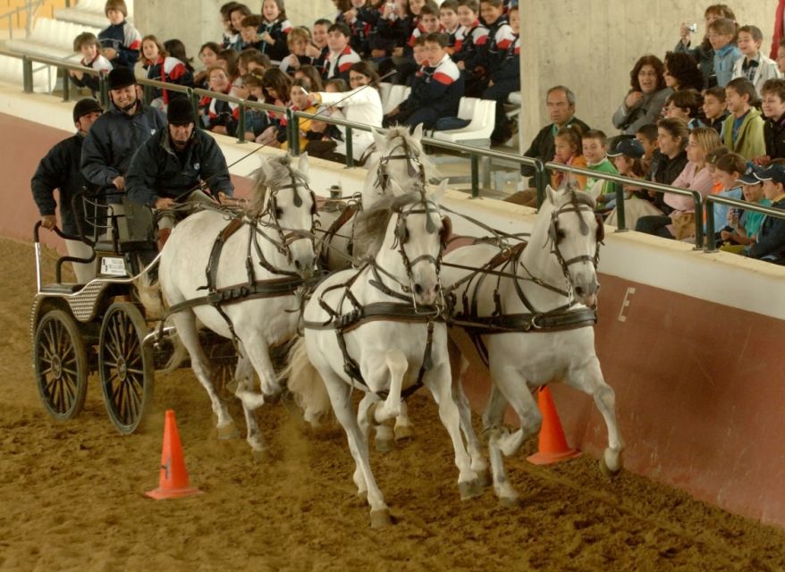 Jerez: Yeguada de la Cartuja Carthusian Horses Tour - Who this suits best, and who might want something else