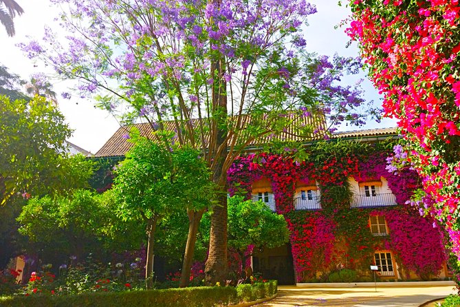 "Las Dueñas" Palace ticket + Audioguide - Mobility, service animals, and practical comfort