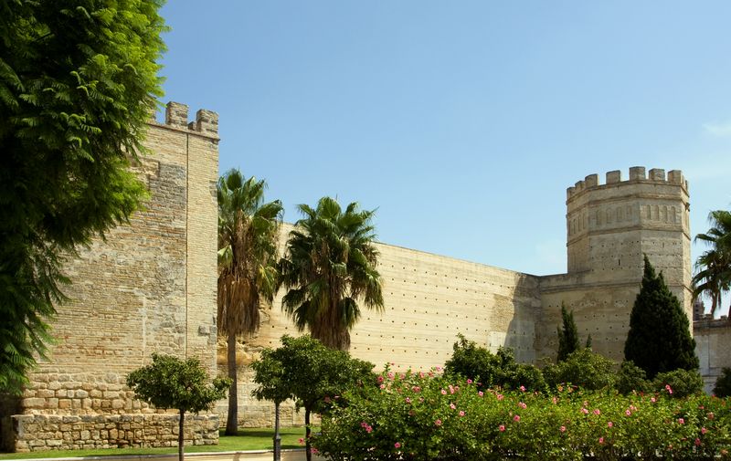 Monumental Jerez Guided Tour - The guide experience: pacing, language, and why friendly matters