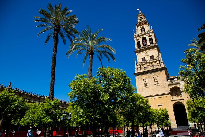 Mosque-Cathedral, Alcazar & Synagogue with Skip the Line Tickets - The Centro Histórico segment: where the guide does the connecting work