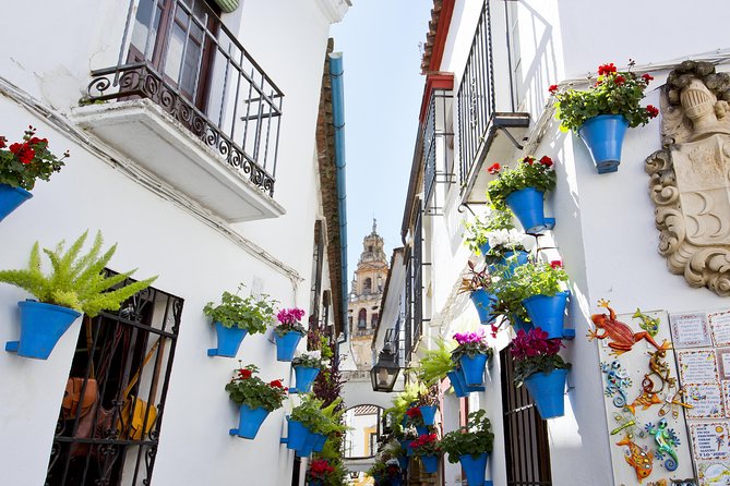 Mosque-Cathedral, Alcazar & Synagogue with Skip the Line Tickets - Cordoba Synagogue stop: a short visit with big significance