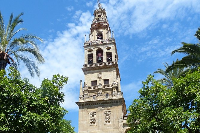 Mosque-Cathedral Cordoba Guided Tour with Priority Access - Stop 1 at OWAY Tours: the handoff that saves you mental energy