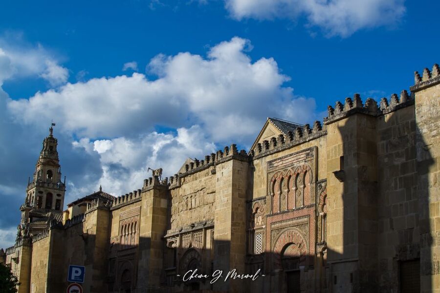 Mosque-Cathedral of Cordoba: Entry Ticket and Guided Tour - How the 1 hour guided entry works, and what you’re buying for $35