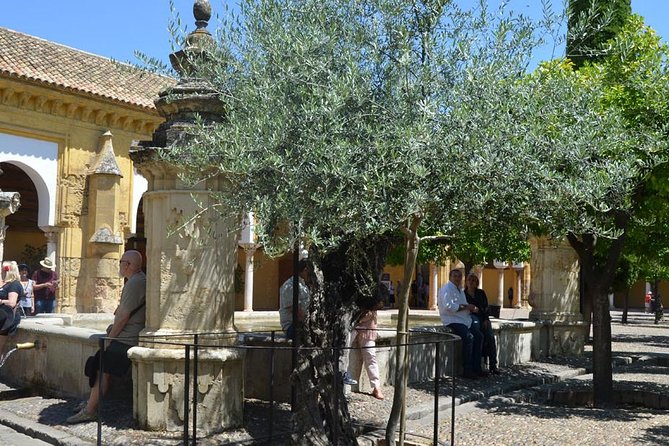 Mosque of Cordoba History Tour in English Tickets included - The guide makes the difference: what you get from real-world experts