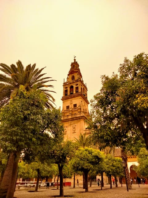 Mosquée Cathédrale tour guidé en petit group en français - Córdoba’s Mosque-Cathedral: why 75 minutes can feel like more