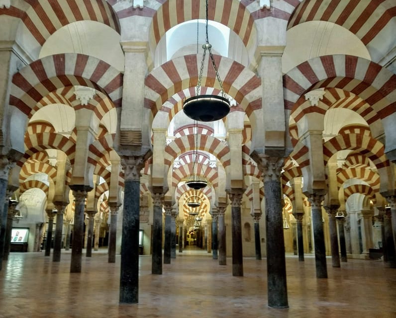 Mosquée Cathédrale tour guidé en petit group en français - Price and value: is $53 worth it?