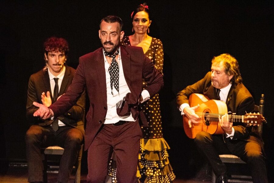 Panoramic Guadalquivir Cruise + Flamenco Show & Walking tour - Price and time math: making the $52 combo work with Seville logistics